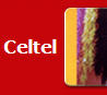  NG Celtel Airtime